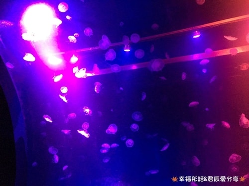 20241018_mxrl9