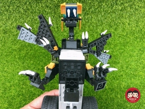 20241017_6rt3w