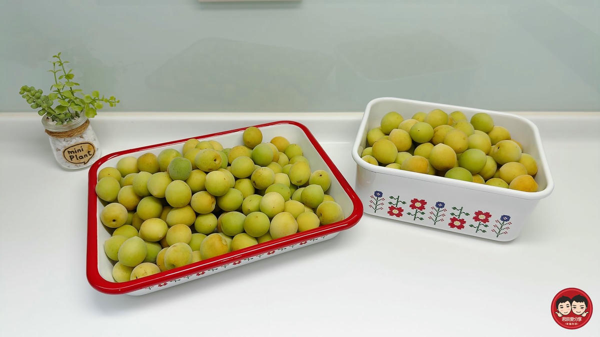梅子露做法｜優格機輕鬆完成！1:1黃金比例自製梅子氣泡飲