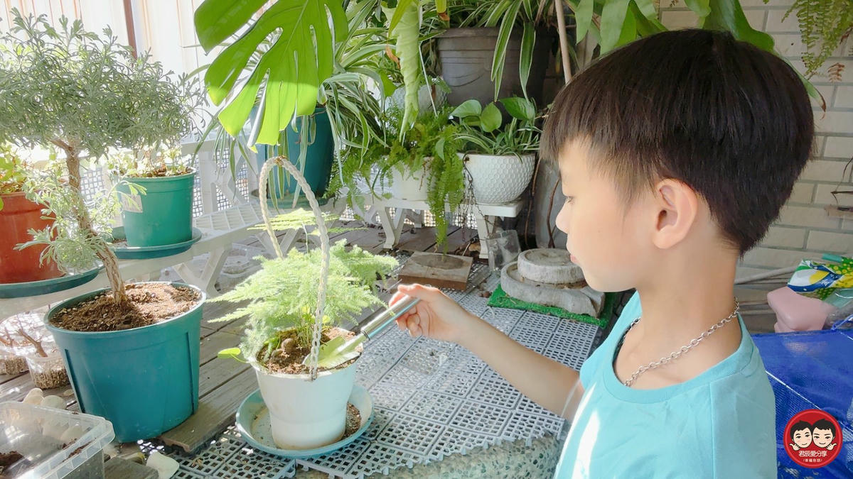 SANSUI 山水評價|PAKU 廚寶 3L 智能廚餘機 SFP-G3L 開箱實測,高溫研磨烘乾讓廚餘體積縮小 90%,不臭不生蟲,濕廚餘變乾肥料超有成就感! - 第68張圖 SANSUI 山水評價|PAKU 廚寶 3L 智能廚餘機 SFP-G3L 開箱實測,高溫研磨烘乾讓廚餘體積縮小 90%,不臭不生蟲,濕廚餘變乾肥料超有成就感!